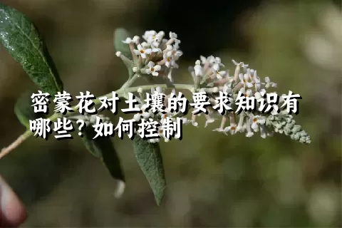 密蒙花对土壤的要求知识有哪些？如何控制