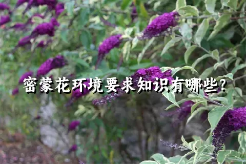 密蒙花环境要求知识有哪些？