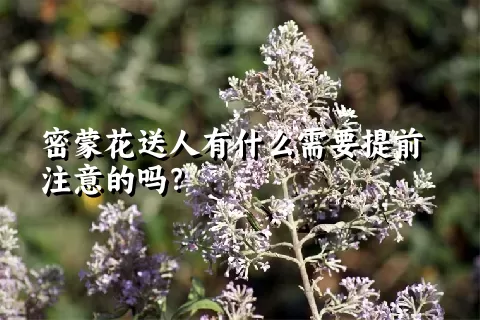 密蒙花送人有什么需要提前注意的吗？