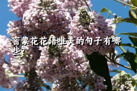 密蒙花花语唯美的句子有哪些？