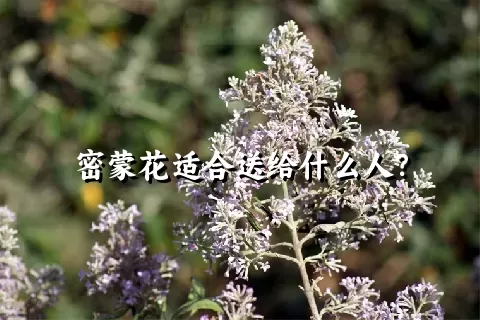 密蒙花适合送给什么人？