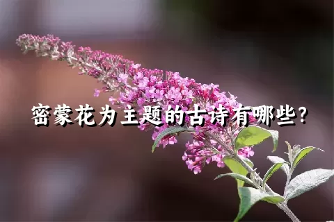 密蒙花为主题的古诗有哪些？