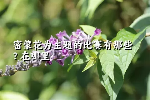 密蒙花为主题的比赛有那些？在哪里