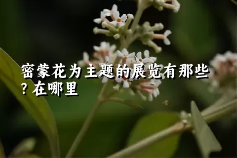 密蒙花为主题的展览有那些？在哪里