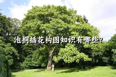 泡桐插花构图知识有哪些？