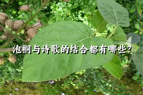 泡桐与诗歌的结合都有哪些？