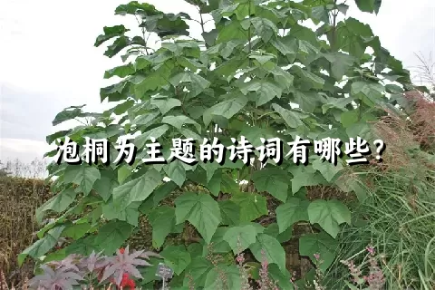 泡桐为主题的诗词有哪些？