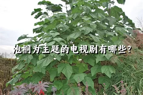 泡桐为主题的电视剧有哪些？