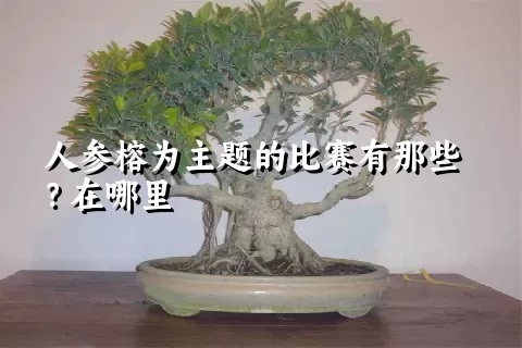 人参榕为主题的比赛有那些？在哪里