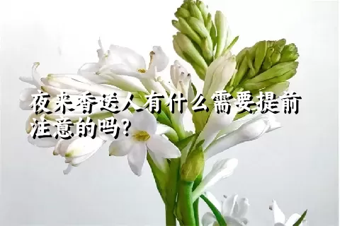 夜来香送人有什么需要提前注意的吗？