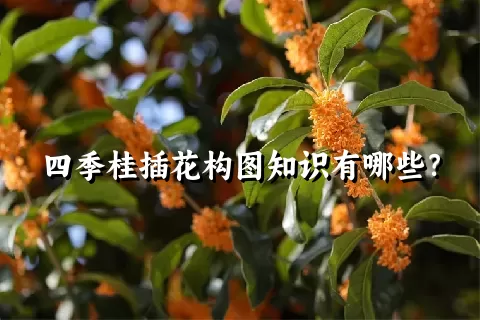 四季桂插花构图知识有哪些？