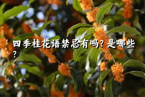 四季桂花语禁忌有吗？是哪些？