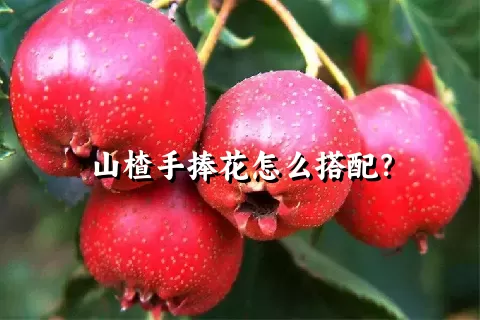 山楂手捧花怎么搭配？