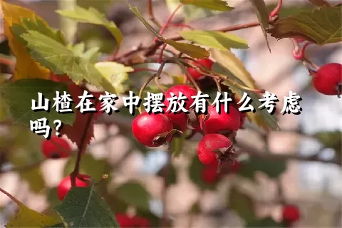 山楂在家中摆放有什么考虑吗？