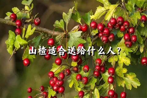 山楂适合送给什么人？