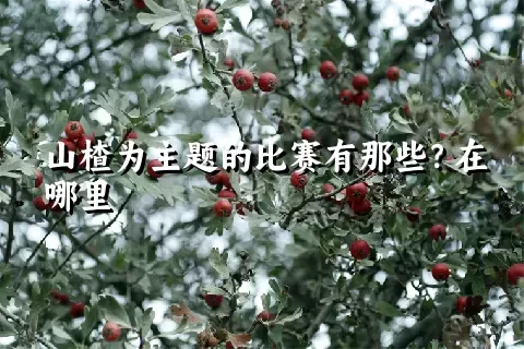 山楂为主题的比赛有那些？在哪里