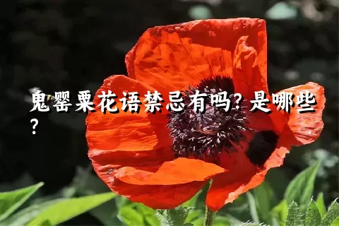 鬼罂粟花语禁忌有吗？是哪些？