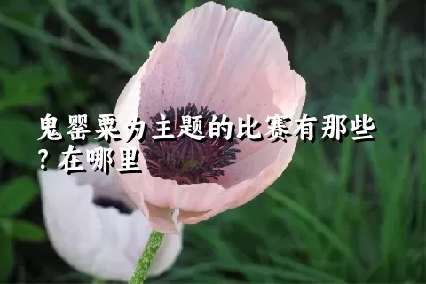 鬼罂粟为主题的比赛有那些？在哪里