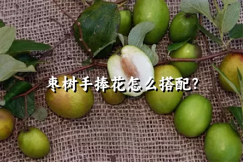 枣树手捧花怎么搭配？