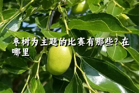 枣树为主题的比赛有那些？在哪里