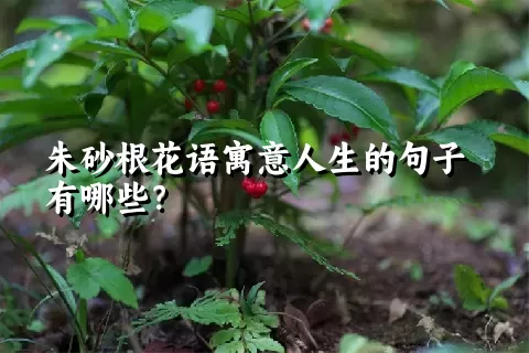 朱砂根花语寓意人生的句子有哪些？