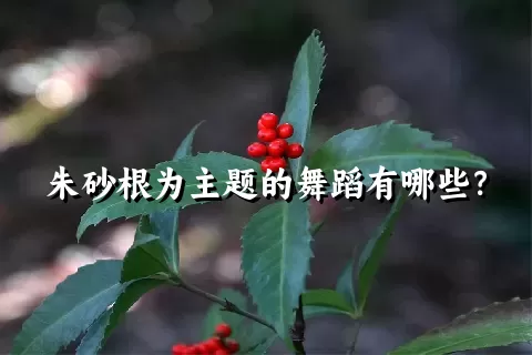 朱砂根为主题的舞蹈有哪些？