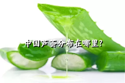 中国芦荟分布在哪里?