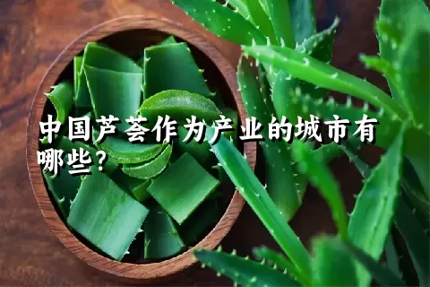 中国芦荟作为产业的城市有哪些？