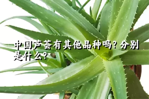 中国芦荟有其他品种吗？分别是什么？