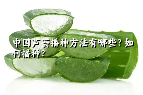 中国芦荟播种方法有哪些？如何播种？