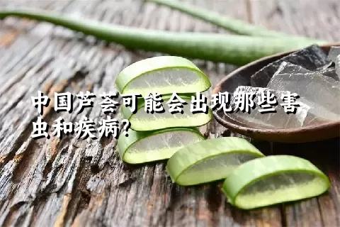 中国芦荟可能会出现那些害虫和疾病？