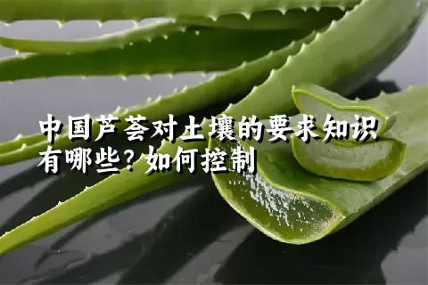 中国芦荟对土壤的要求知识有哪些？如何控制