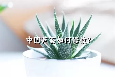 中国芦荟如何修枝？