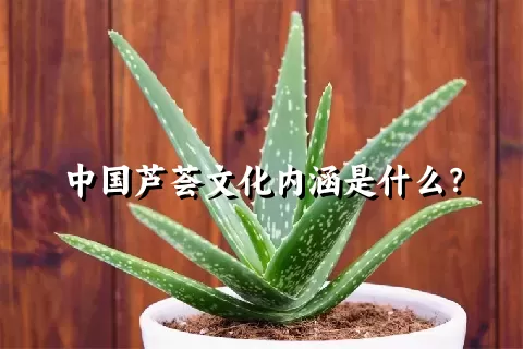 中国芦荟文化内涵是什么？