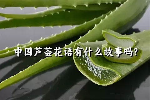 中国芦荟花语有什么故事吗？