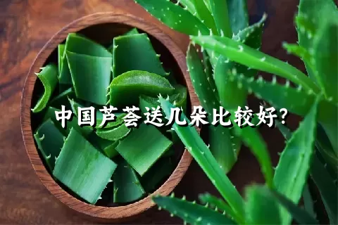 中国芦荟送几朵比较好？