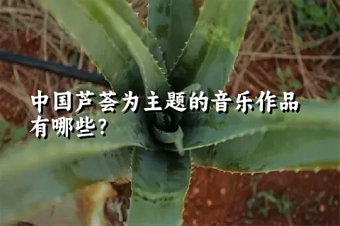 中国芦荟为主题的音乐作品有哪些？