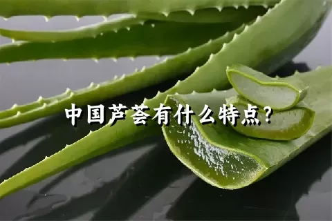 中国芦荟有什么特点？