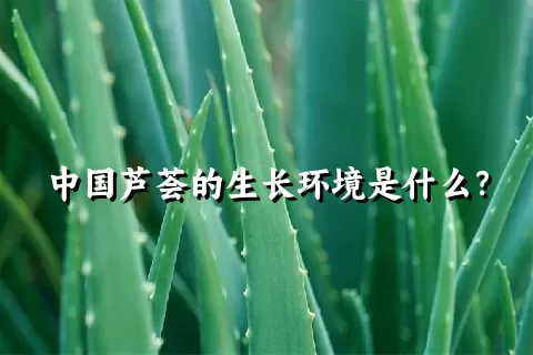 中国芦荟的生长环境是什么？