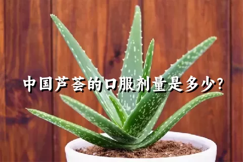 中国芦荟的口服剂量是多少？