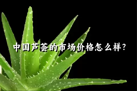 中国芦荟的市场价格怎么样？