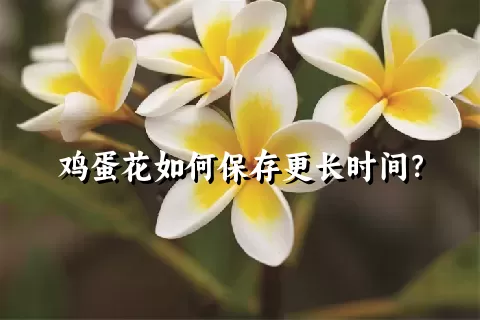 鸡蛋花如何保存更长时间？