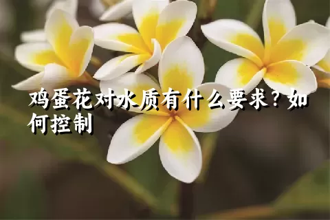 鸡蛋花对水质有什么要求？如何控制