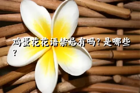 鸡蛋花花语禁忌有吗？是哪些？