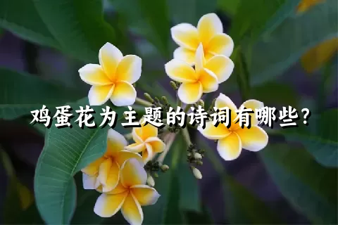 鸡蛋花为主题的诗词有哪些？