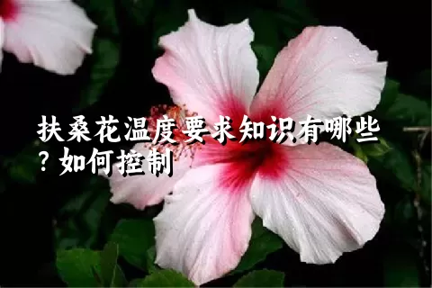 扶桑花温度要求知识有哪些？如何控制