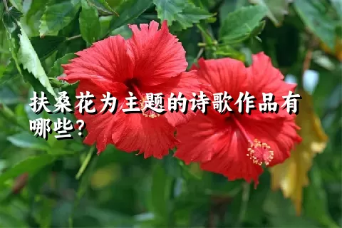 扶桑花为主题的诗歌作品有哪些？