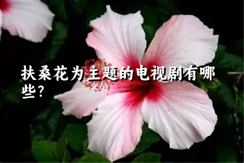 扶桑花为主题的电视剧有哪些？