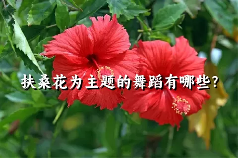 扶桑花为主题的舞蹈有哪些？