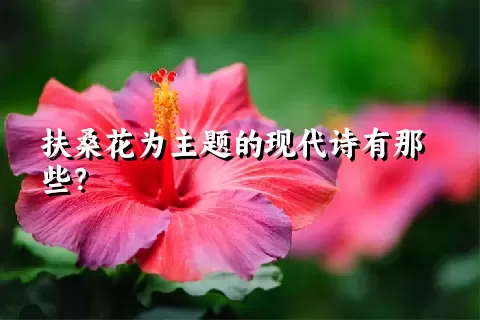 扶桑花为主题的现代诗有那些？